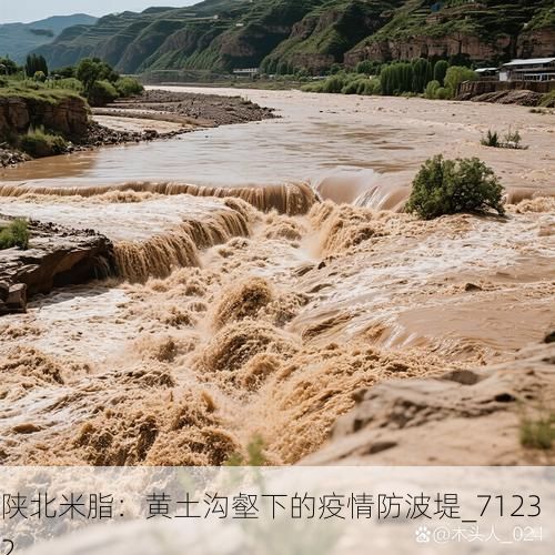 陕北米脂：黄土沟壑下的疫情防波堤_71232