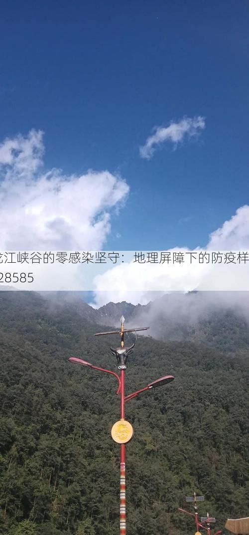 独龙江峡谷的零感染坚守：地理屏障下的防疫样本_28585