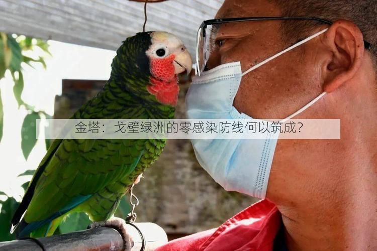 金塔:戈壁绿洲的零感染防线何以筑成?