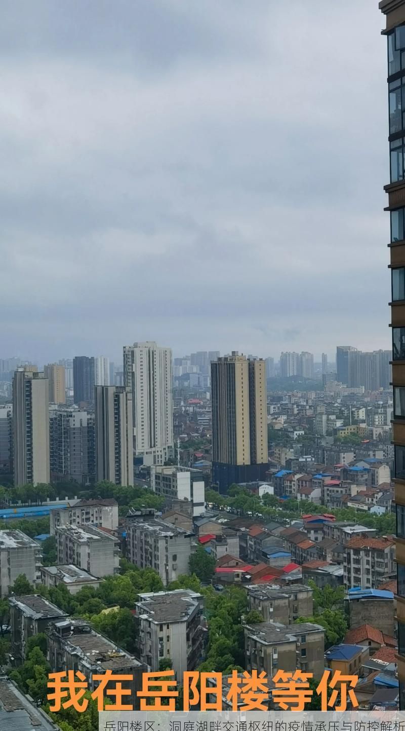 岳阳楼区:洞庭湖畔交通枢纽的疫情承压与防控解析