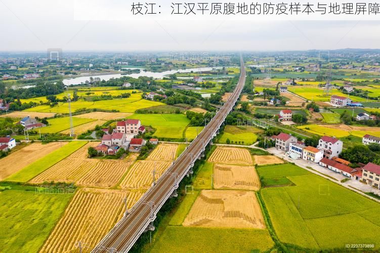 枝江：江汉平原腹地的防疫样本与地理屏障