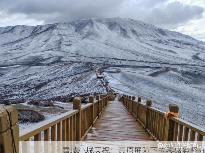 雪域小城天祝：高原屏障下的零感染坚守