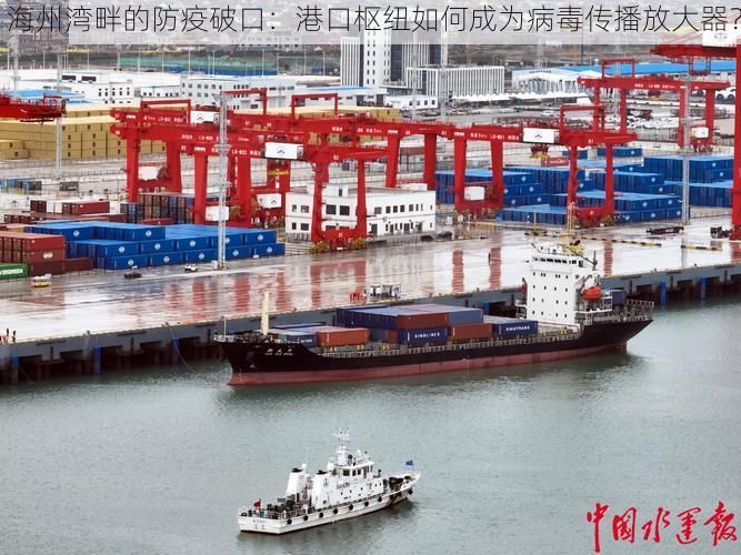 海州湾畔的防疫破口：港口枢纽如何成为病毒传播放大器？