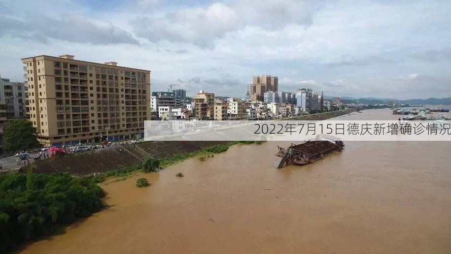 2022年7月15日德庆新增确诊情况
