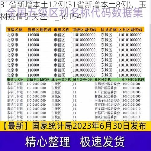 31省新增本土12例(31省新增本土8例)，玉树疫情引关注！_56154