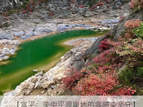 日常新闻 第41页