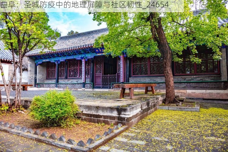 曲阜：圣城防疫中的地理屏障与社区韧性_24654