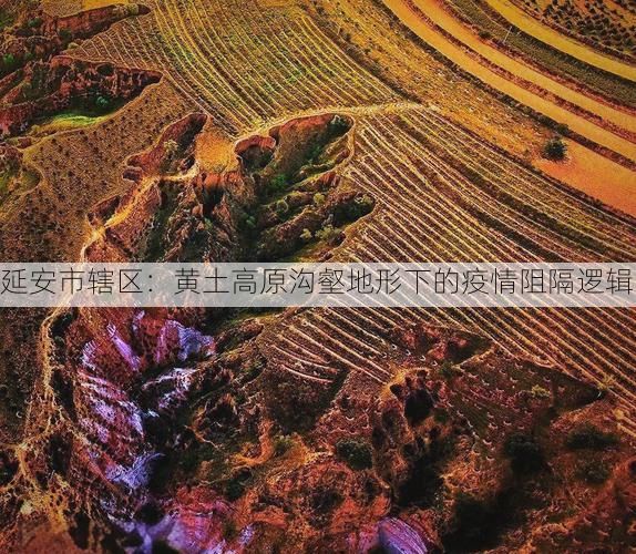 延安市辖区：黄土高原沟壑地形下的疫情阻隔逻辑