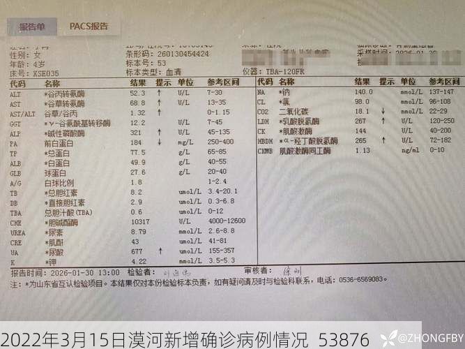 2022年3月15日漠河新增确诊病例情况_53876