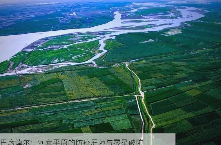 巴彦淖尔：河套平原的防疫屏障与零星破防
