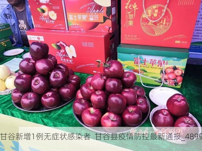 【甘谷新增1例无症状感染者  甘谷县疫情防控最新通报_48995】