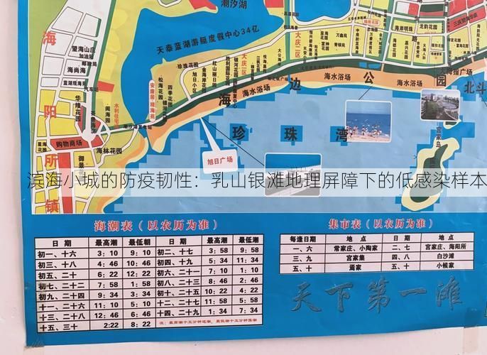 滨海小城的防疫韧性：乳山银滩地理屏障下的低感染样本