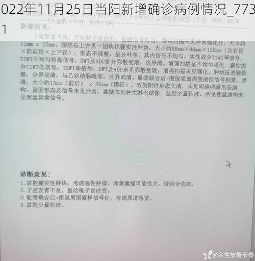 2022年11月25日当阳新增确诊病例情况_77331