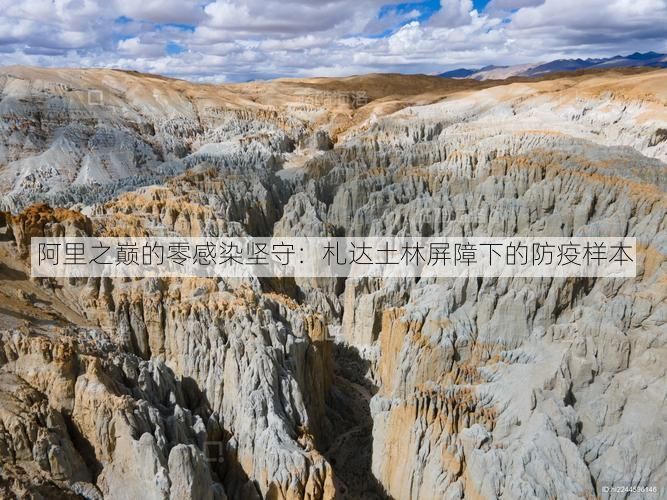 阿里之巅的零感染坚守：札达土林屏障下的防疫样本