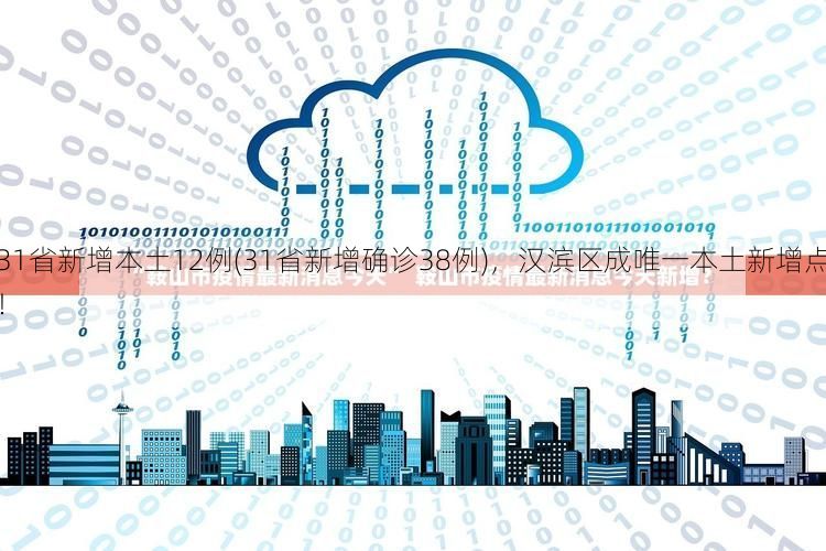 31省新增本土12例(31省新增确诊38例)，汉滨区成唯一本土新增点！