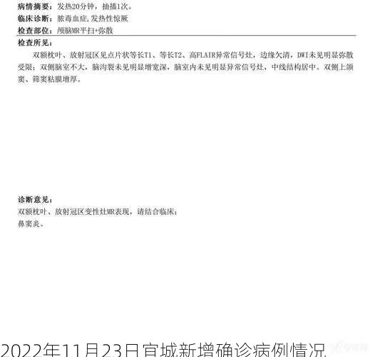 2022年11月23日宜城新增确诊病例情况
