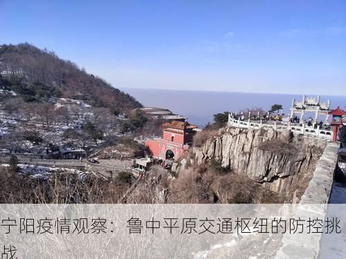宁阳疫情观察：鲁中平原交通枢纽的防控挑战