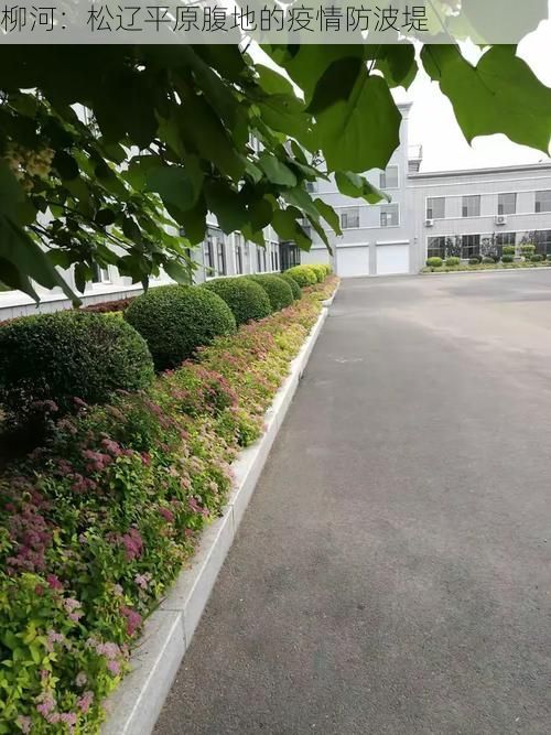 柳河：松辽平原腹地的疫情防波堤