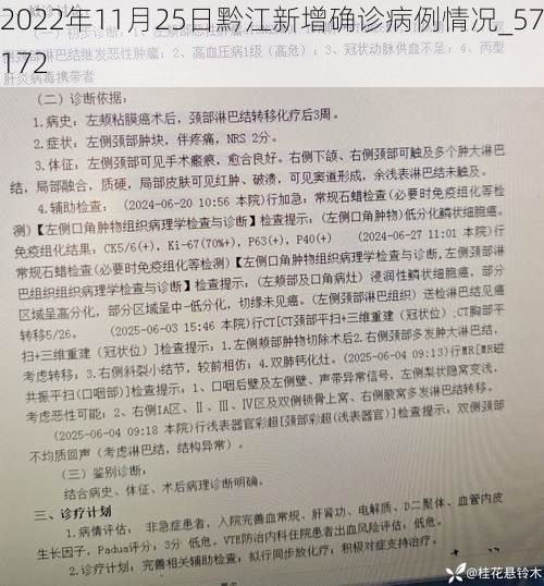 2022年11月25日黔江新增确诊病例情况_57172