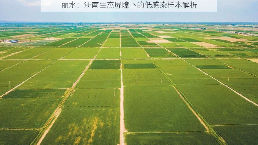 丽水：浙南生态屏障下的低感染样本解析