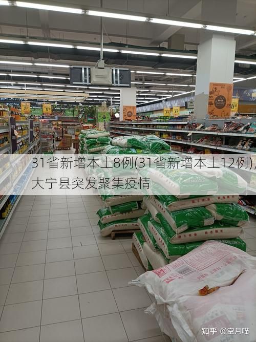 31省新增本土8例(31省新增本土12例)，大宁县突发聚集疫情