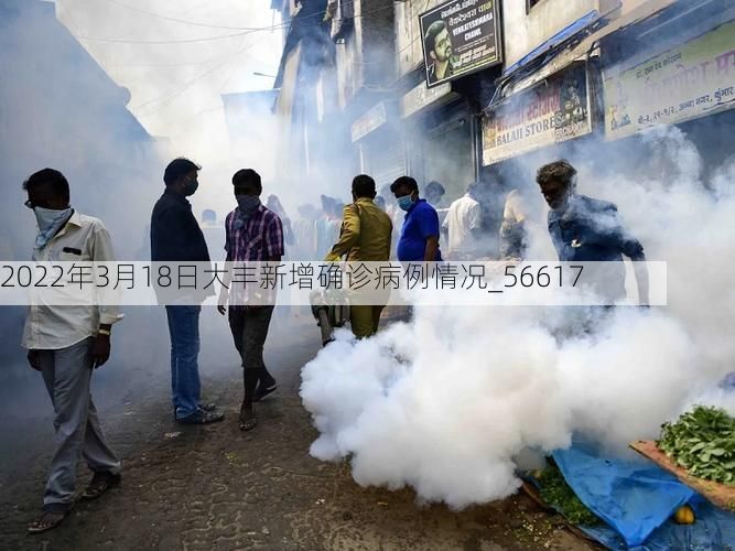 2022年3月18日大丰新增确诊病例情况_56617