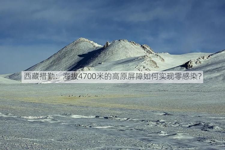 西藏措勤：海拔4700米的高原屏障如何实现零感染？