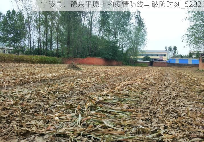 宁陵县：豫东平原上的疫情防线与破防时刻_52821