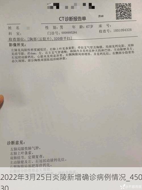 2022年3月25日炎陵新增确诊病例情况_45030