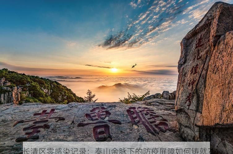 长清区零感染记录：泰山余脉下的防疫屏障如何铸就？