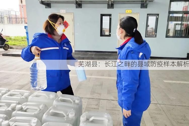 芜湖县：长江之畔的县域防疫样本解析
