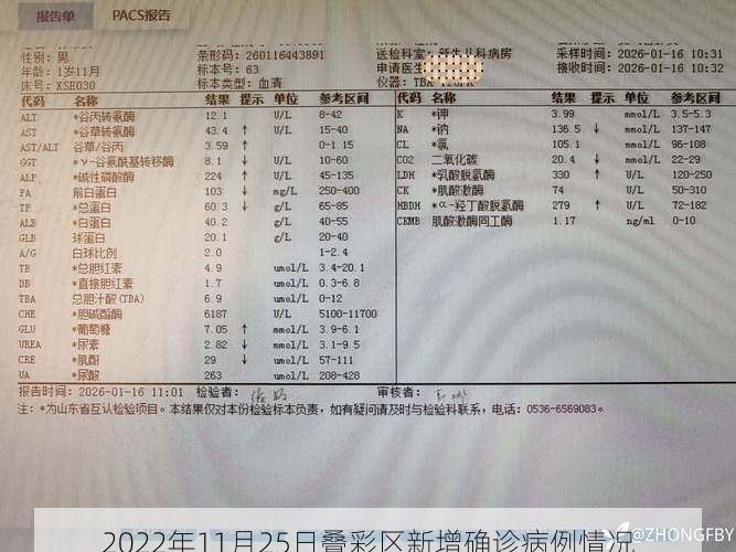 2022年11月25日叠彩区新增确诊病例情况