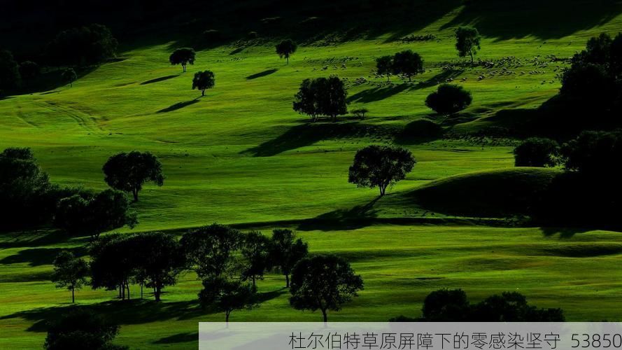 杜尔伯特草原屏障下的零感染坚守_53850