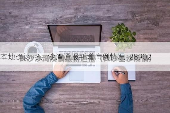 本地确诊+3，沙湾通报新增病例情况_28902