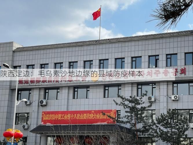 陕西定边:毛乌素沙地边缘的县域防疫样本