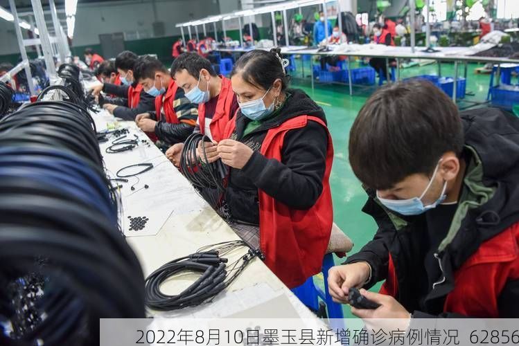 2022年8月10日墨玉县新增确诊病例情况_62856