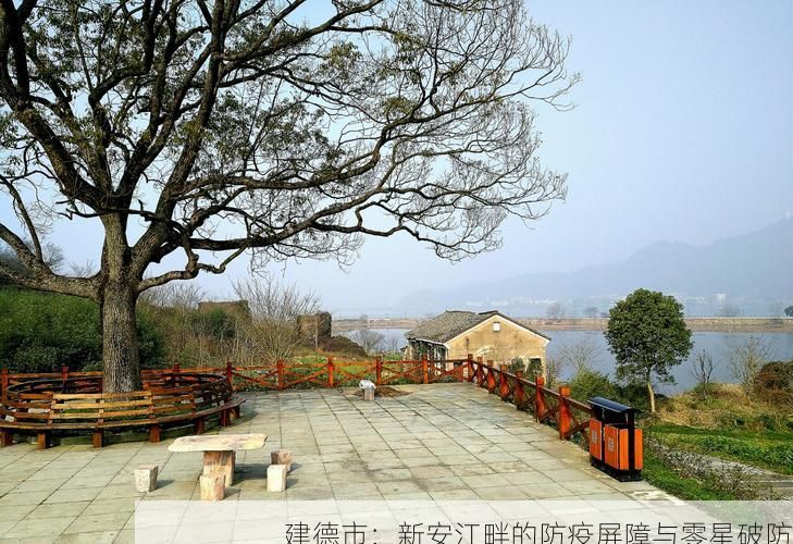 建德市：新安江畔的防疫屏障与零星破防