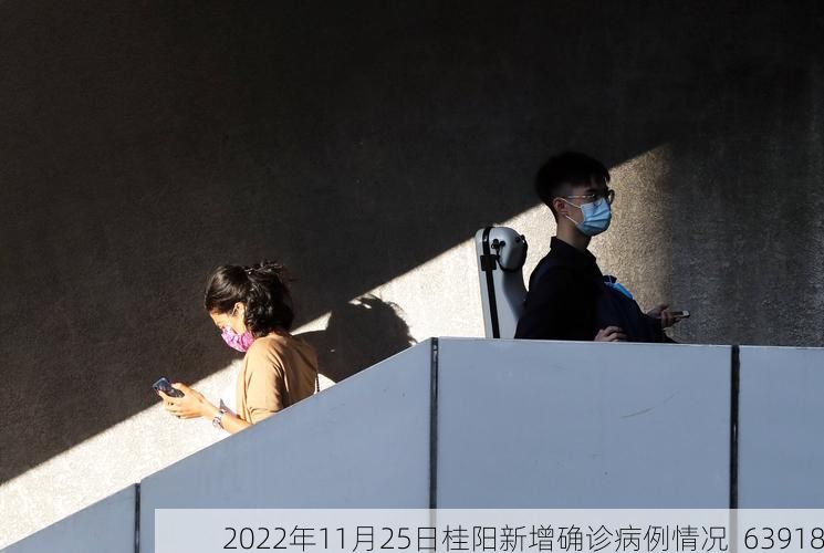 2022年11月25日桂阳新增确诊病例情况_63918