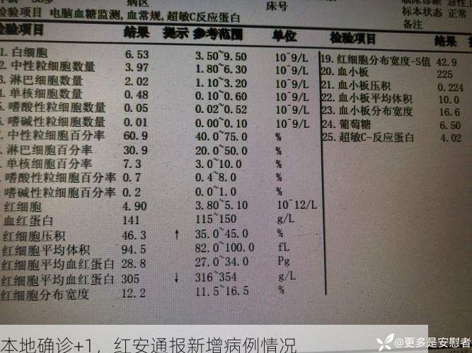 本地确诊+1，红安通报新增病例情况