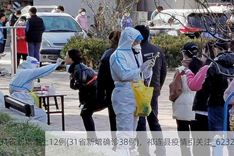31省新增本土12例(31省新增确诊38例)，祁连县疫情引关注_62326