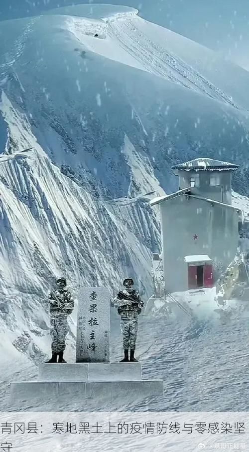 青冈县：寒地黑土上的疫情防线与零感染坚守