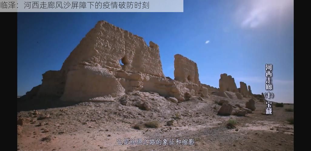 临泽：河西走廊风沙屏障下的疫情破防时刻