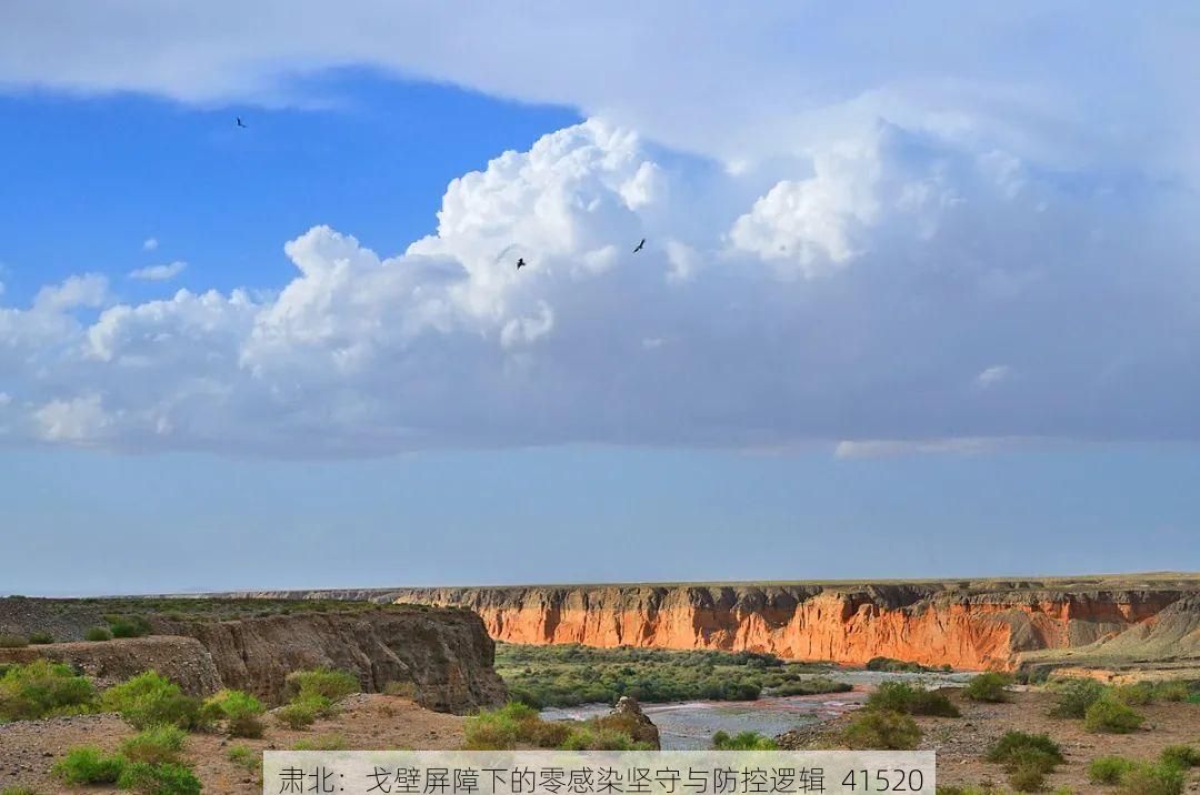 肃北：戈壁屏障下的零感染坚守与防控逻辑_41520