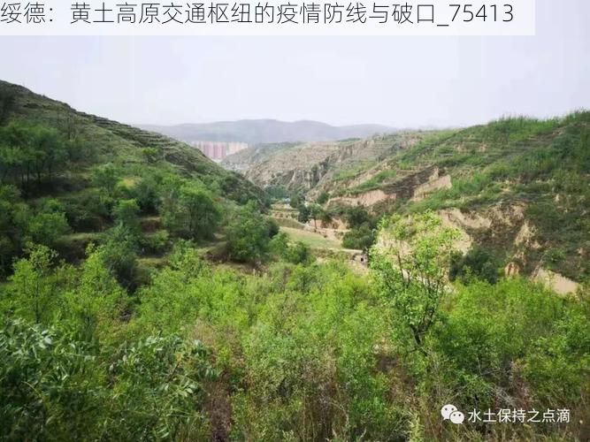 绥德：黄土高原交通枢纽的疫情防线与破口_75413