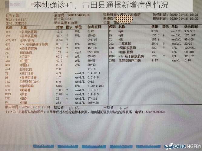 本地确诊+1，青田县通报新增病例情况