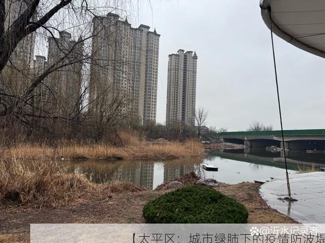 【太平区：城市绿肺下的疫情防波堤】