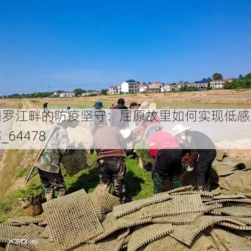 日常记录 第14页