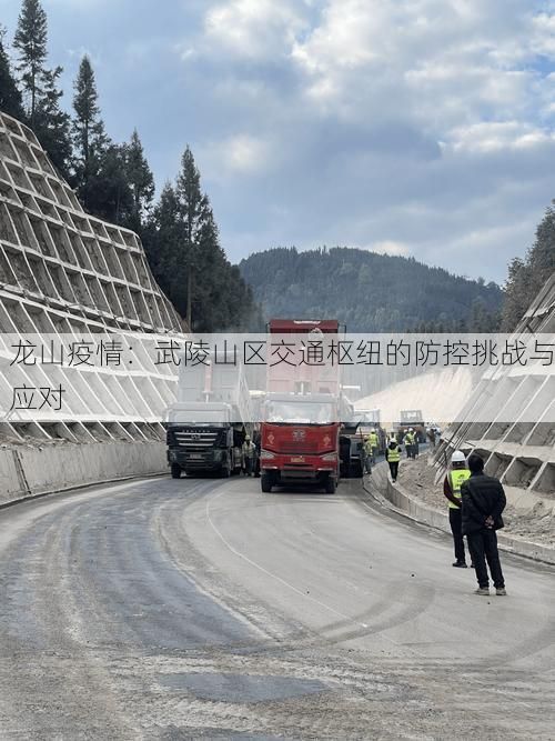 龙山疫情：武陵山区交通枢纽的防控挑战与应对