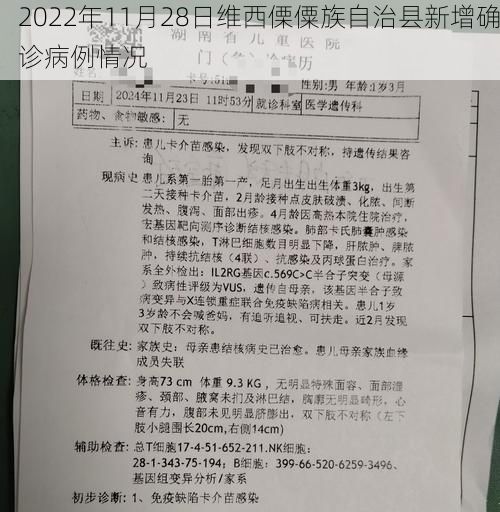 2022年11月28日维西傈僳族自治县新增确诊病例情况