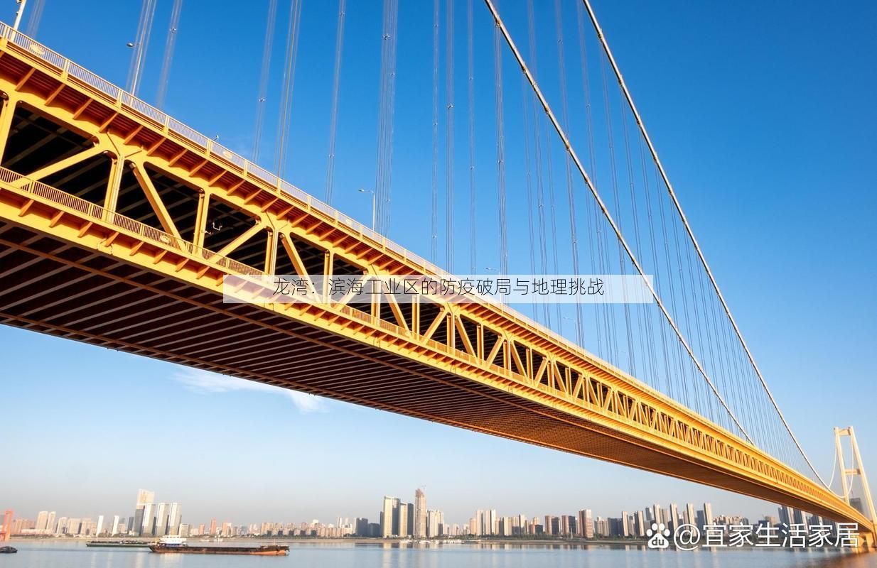 龙湾：滨海工业区的防疫破局与地理挑战